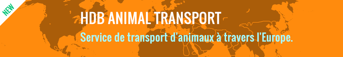 Animal transport service over Europe