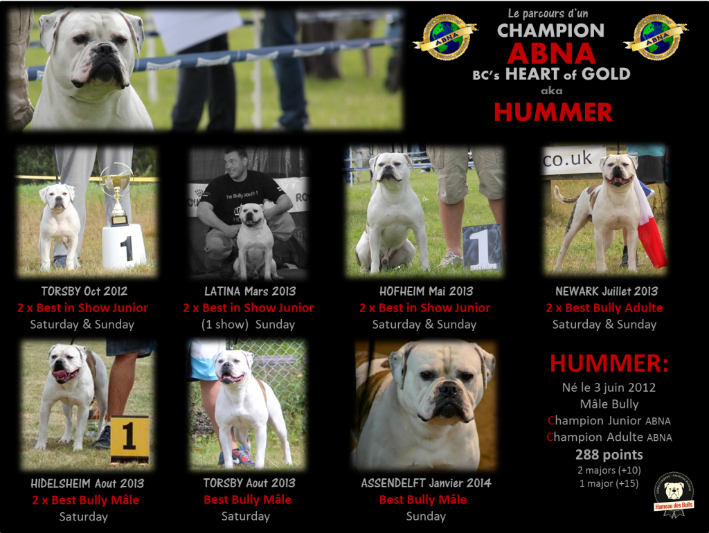 portrait hummer champion