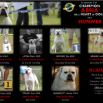 portrait hummer champion