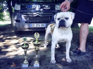 Hummer Grand Champion Abna