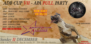official-announce-adb-cup-vii-apa-pull-party-december-11